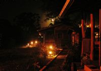 night